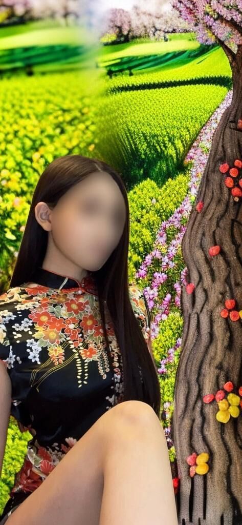 AIの人、菊乃