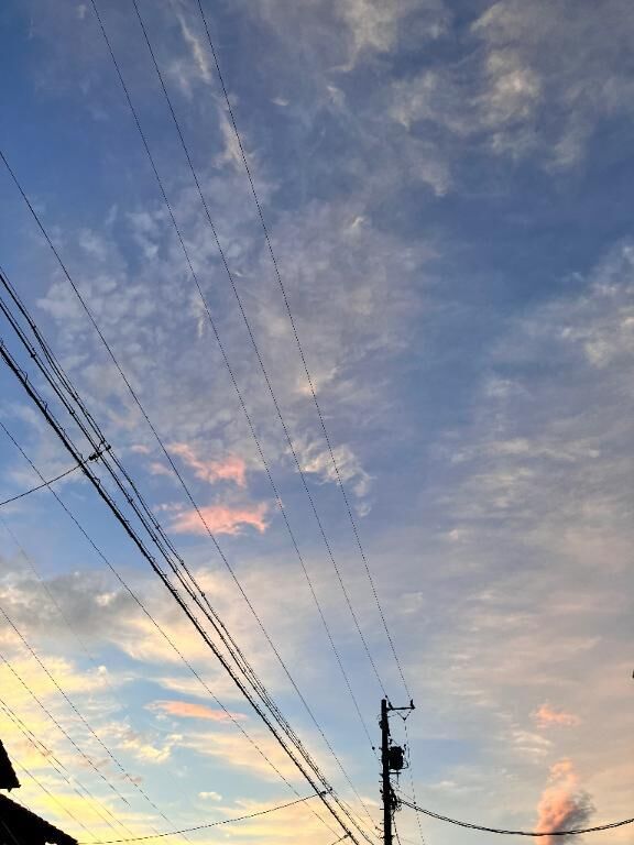 おはようございます。