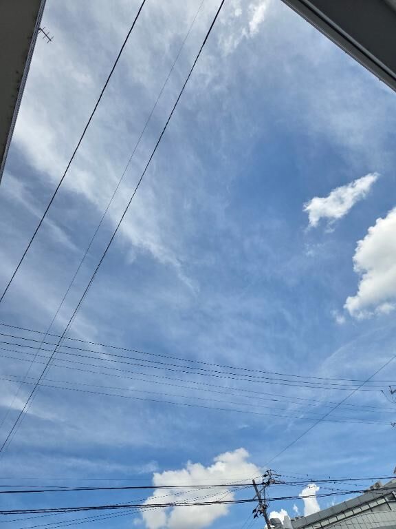 深夜は雨が降りましたね&#9825;