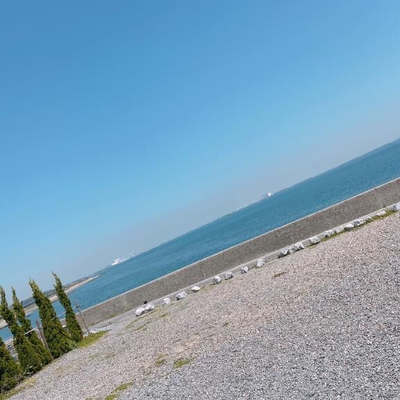 急遽明日も