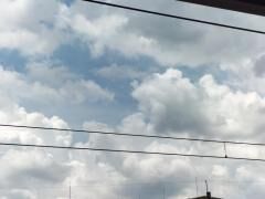 夏