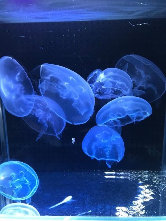 ありがとう♡
