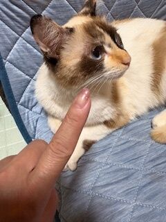 ★金曜デートしたいなぁ&hearts;&#65038;
