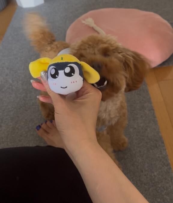 タママ二等兵♡