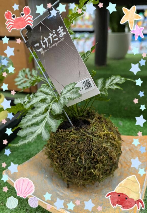 癒やし&#128515;&#129655;