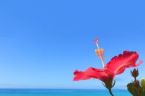 熱中症に気を付けて