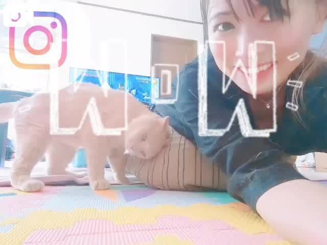 ことりん日記