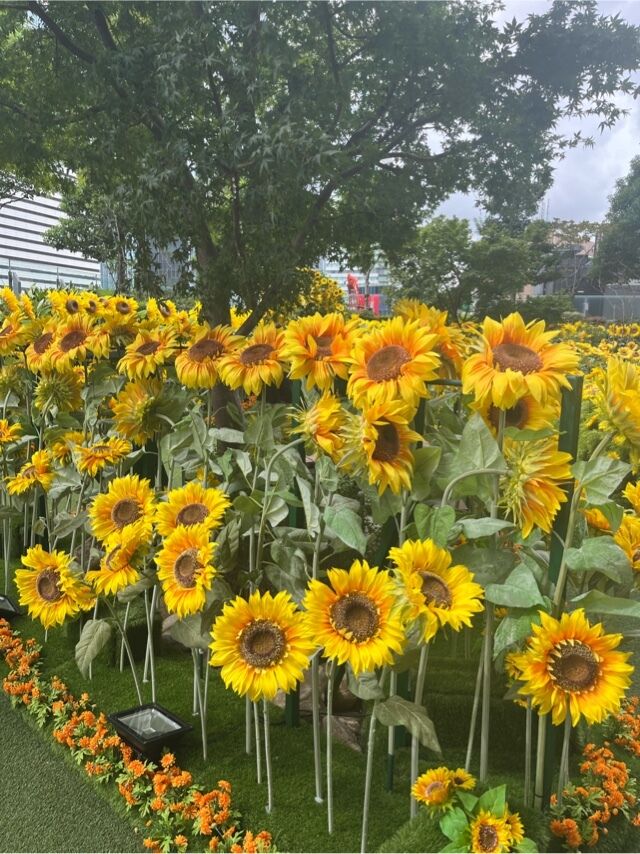 7月10日K様ありがとうございました&#128522;