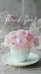 昨日のお礼です