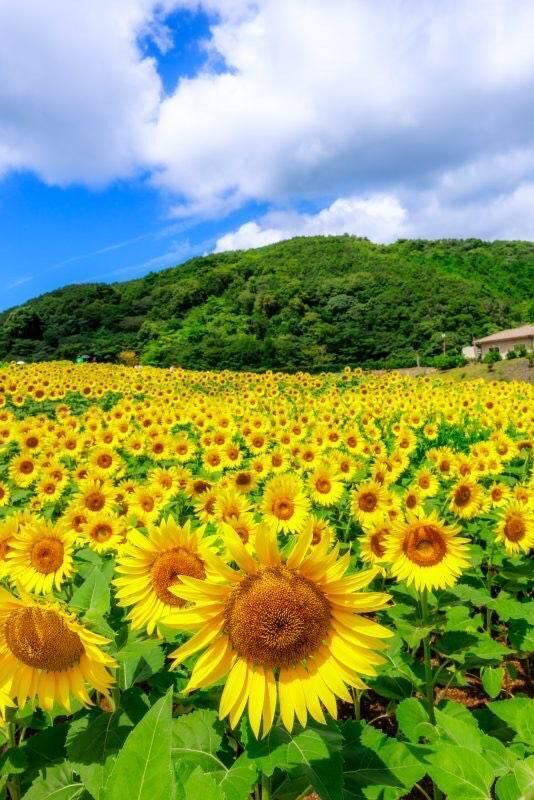 先程はありがとう&#128522;