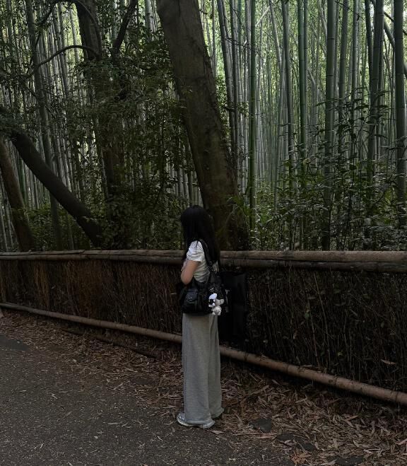 嵐山旅&#127753;