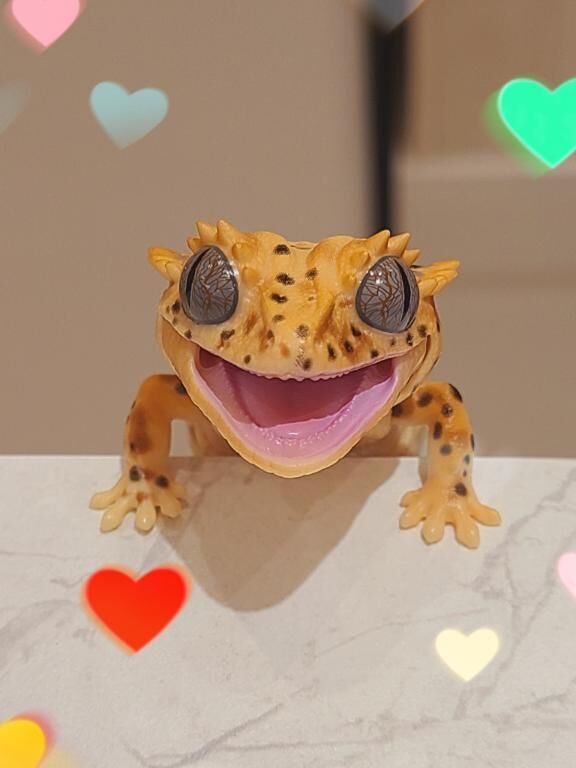 お礼&#9825;