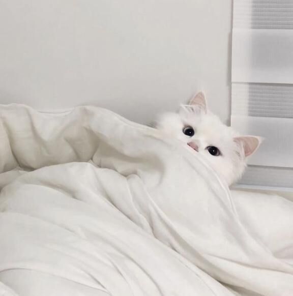 出勤&#9825;&#9825;