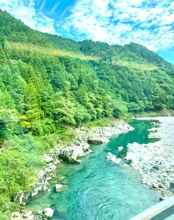 最近のすきなもの.