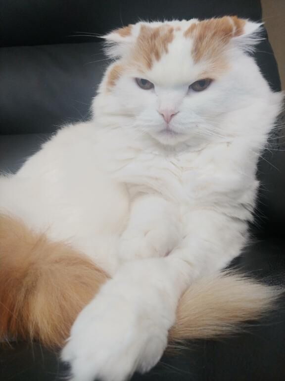あかん