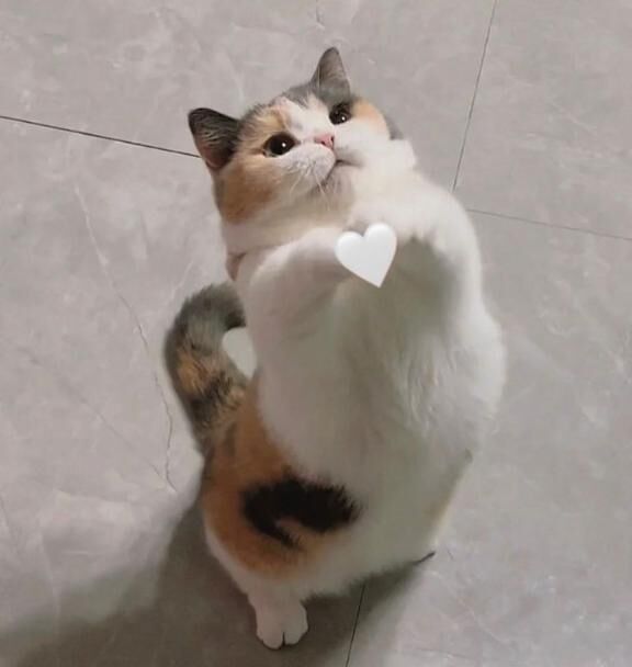 ありがとまる&#128156;
