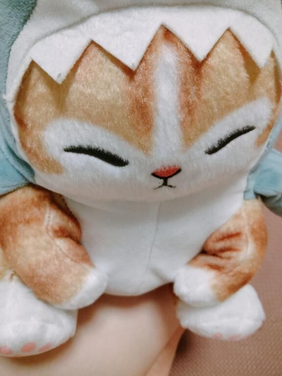 本日も&#9825;*.ﾟ