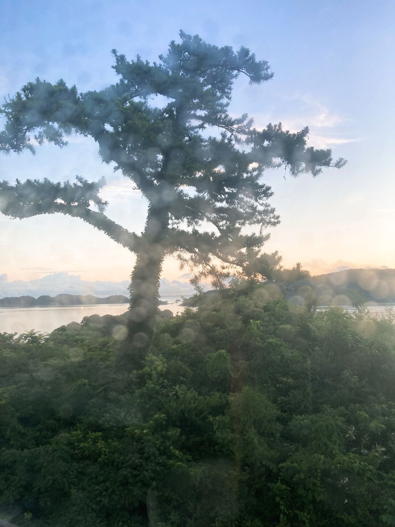 朝日