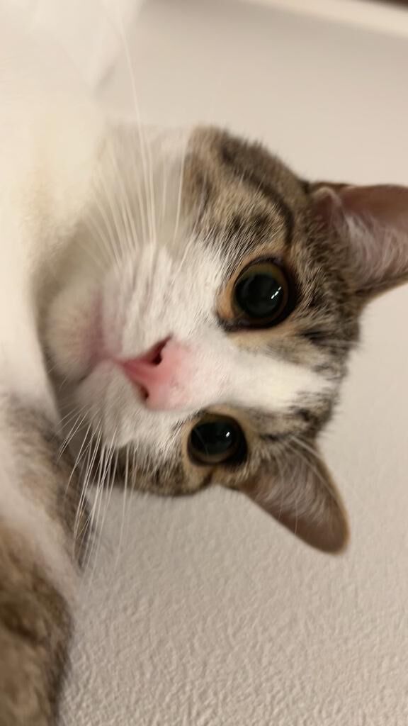 おはよ♡♡