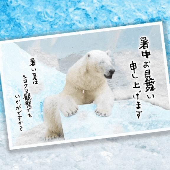 一週間の始まり