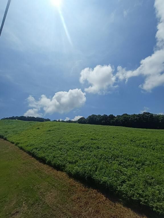 今日入ります&#10024;