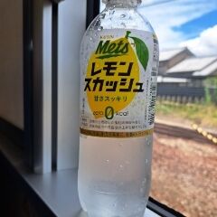 ありがとうございます(*´∇｀)