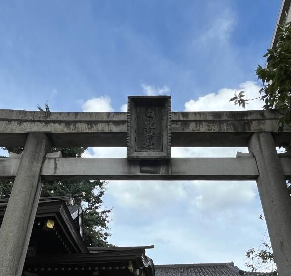 今年初