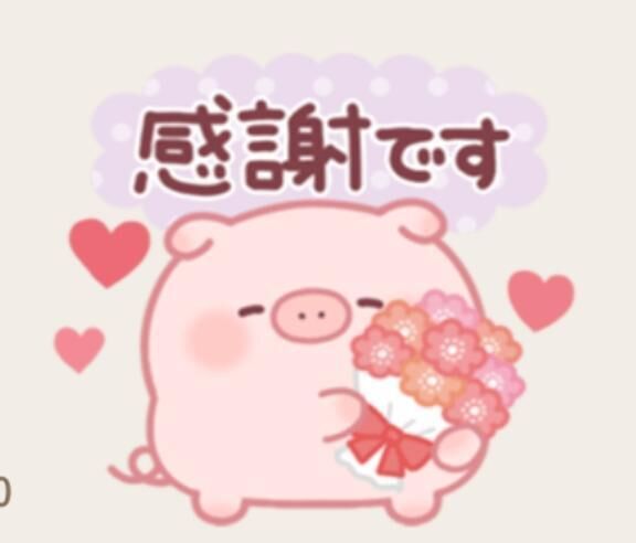 &#127803;感謝感激&#127803;