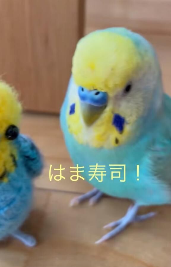 &#9825;&#9825;おはよう&#9825;&#9825;