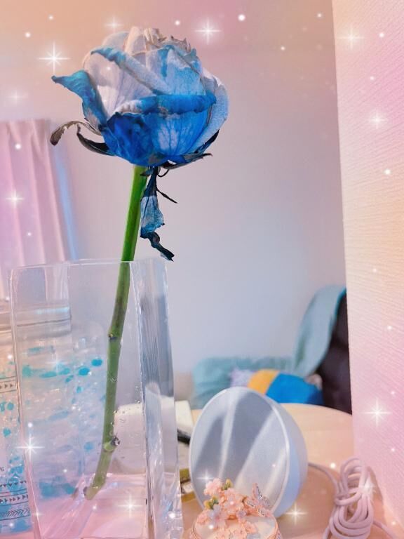 おはよー勺