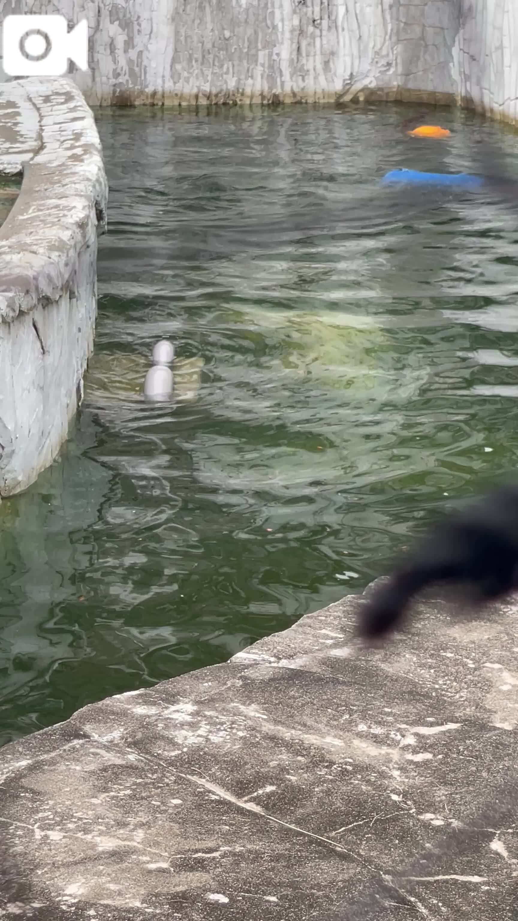 おはようございます。