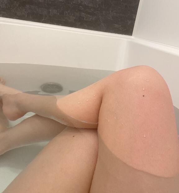 本日懶