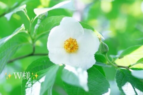 お礼状