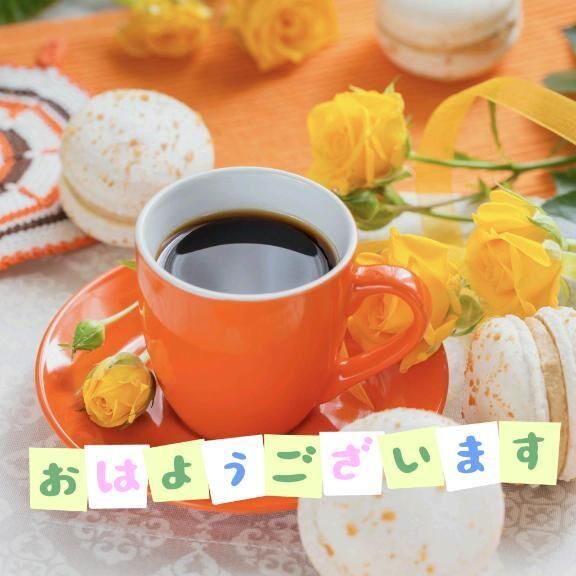 おはよん