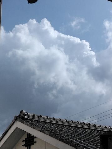 またきそうだね。