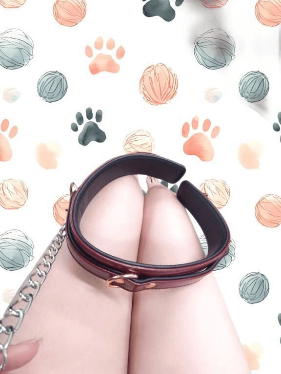 わんちゃんプレイ好きな人&#127489;