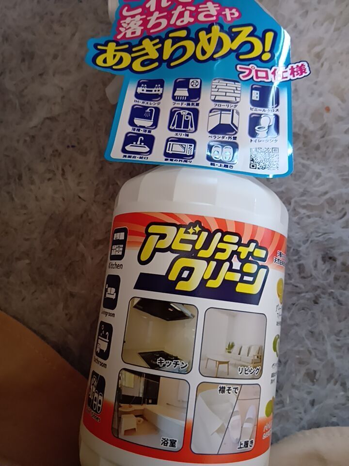 掃除しようかな