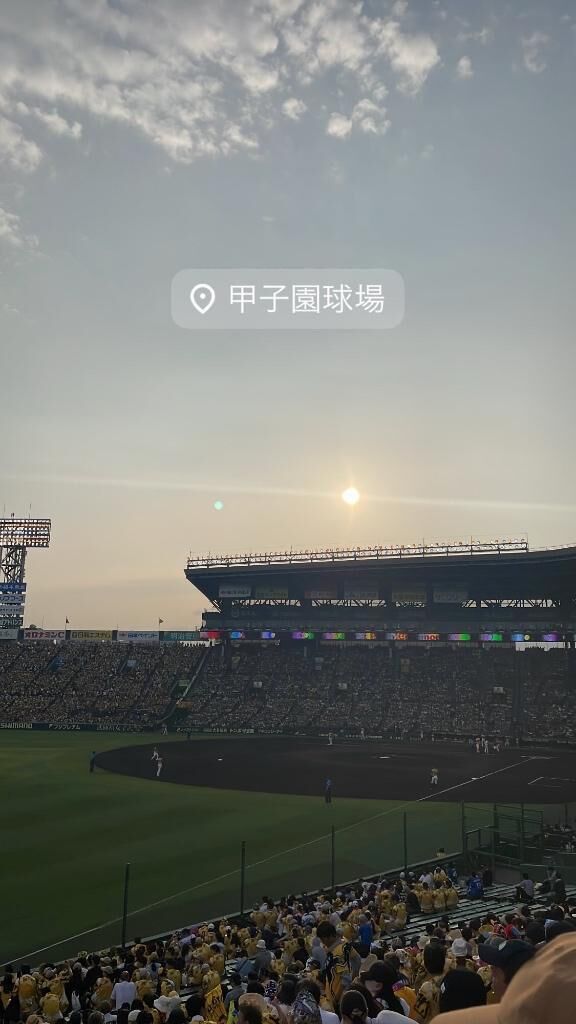 今日は