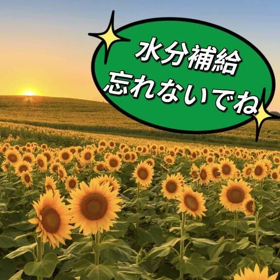 お疲れ様です。