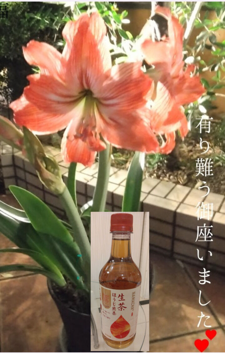 出勤初日でした＼(^o^)／
