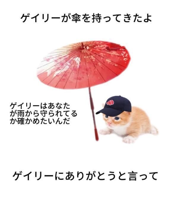 傘お忘れなく❤︎