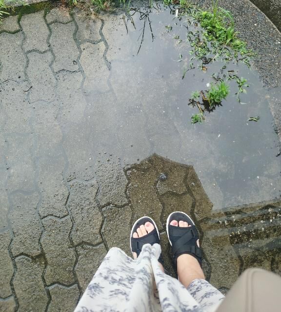 到着してます