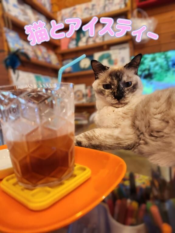 &#129380;&#128008;&#65039;