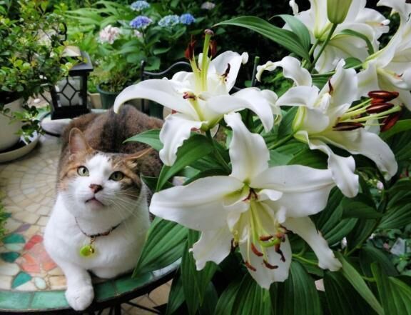 花花　Ｔ&#128570;様&#128147;