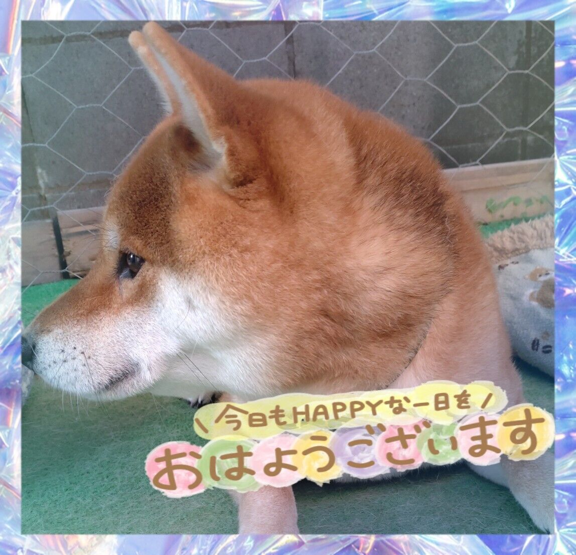おはよう&#9728;
