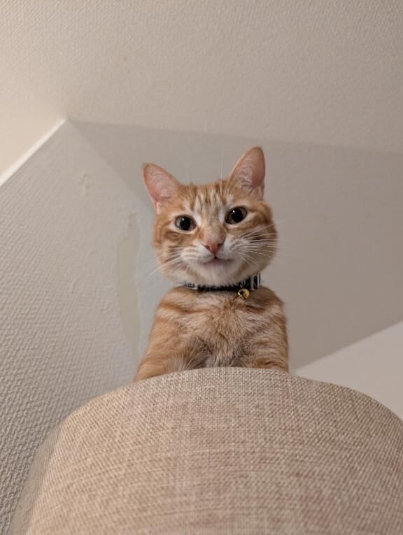 継続中&#9825;