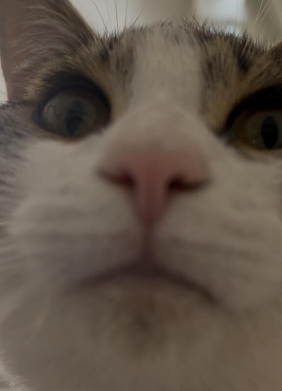 近いよ