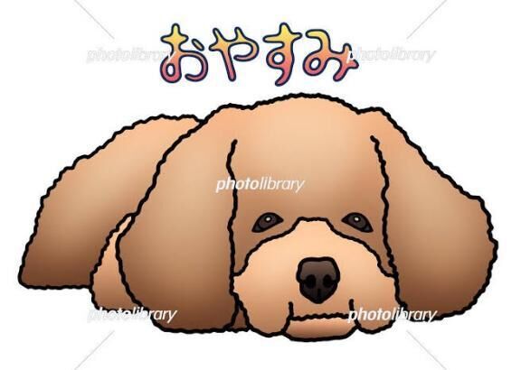 今夜は