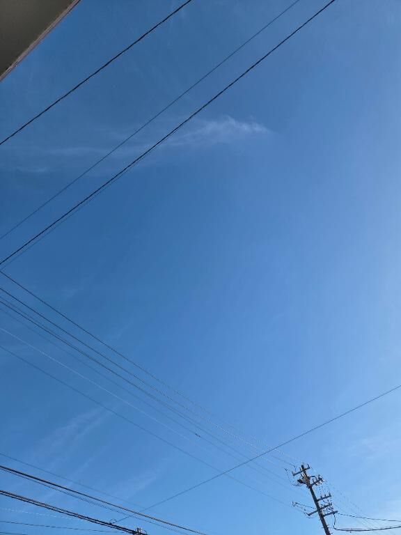 清々しい天気&#9825;
