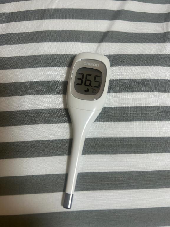 今日の体温